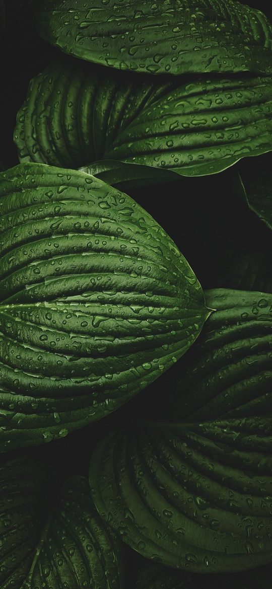 深色背景的手机截图展示 www.hga030.com App 首页纵向列表，顶部为搜索框与分类标签，条目按时间排列
